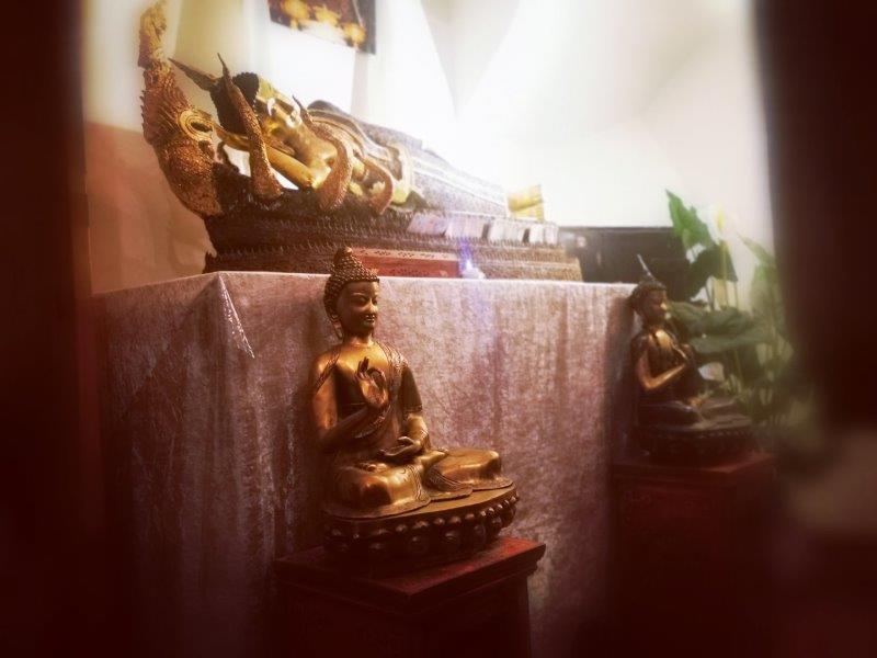 IMG 20220601 102221 edit 7041536990070